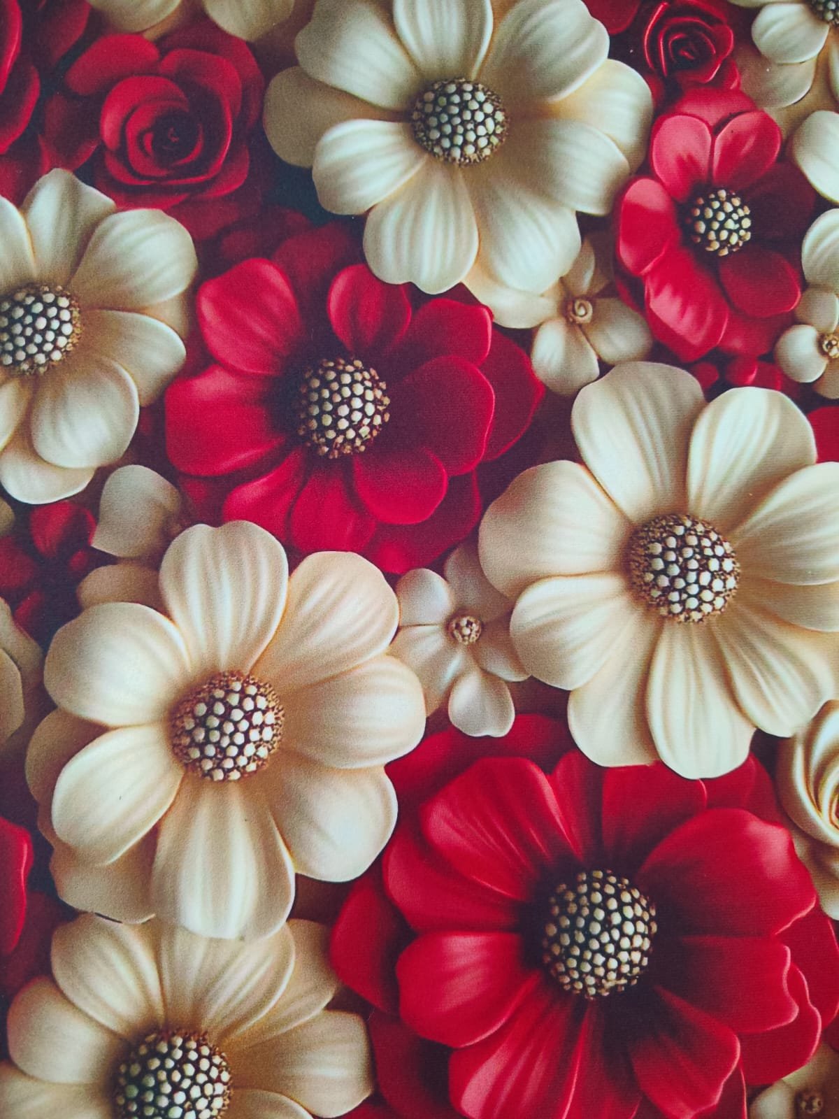 WhatsApp Image 2026-03-20 at 11.46.06