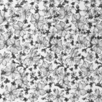 ChatGPT Image May 26, 2026, 02_18_35 PM